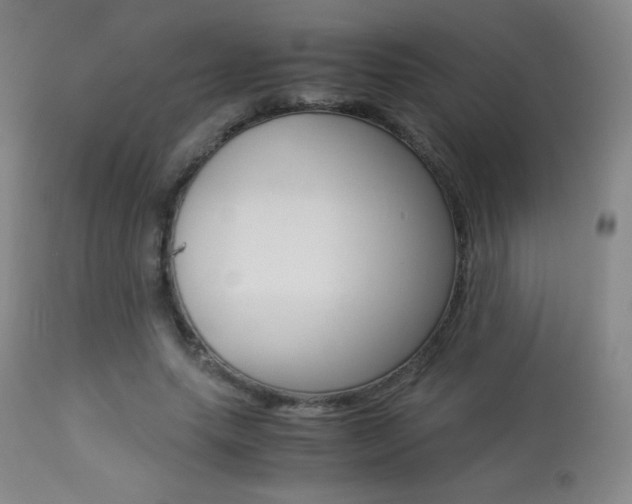 X0000113910639200909241307