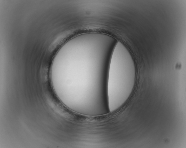 X0000113910640200909241307