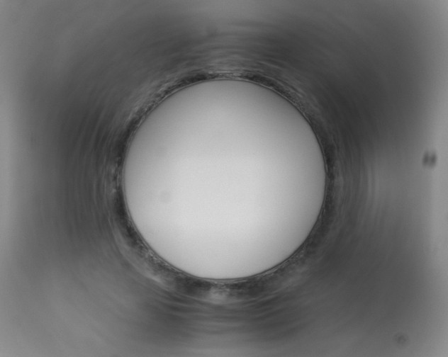X0000113910641200909241307