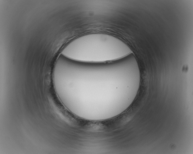 X0000113910642200909241307