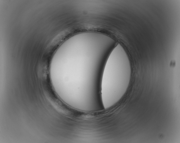 X0000113910644200909241307