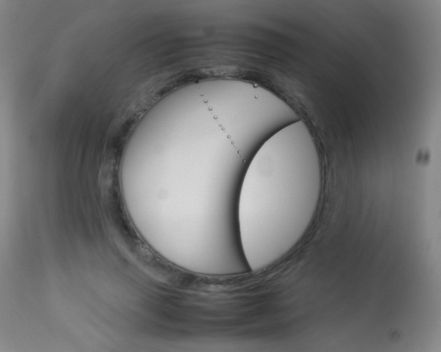 X0000113910645200909241307