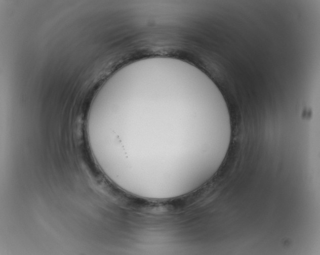 X0000113910646200909241307