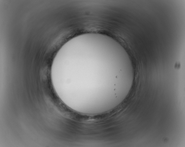 X0000113910647200909241307