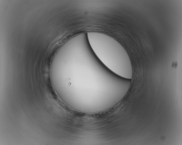 X0000113910648200909241307