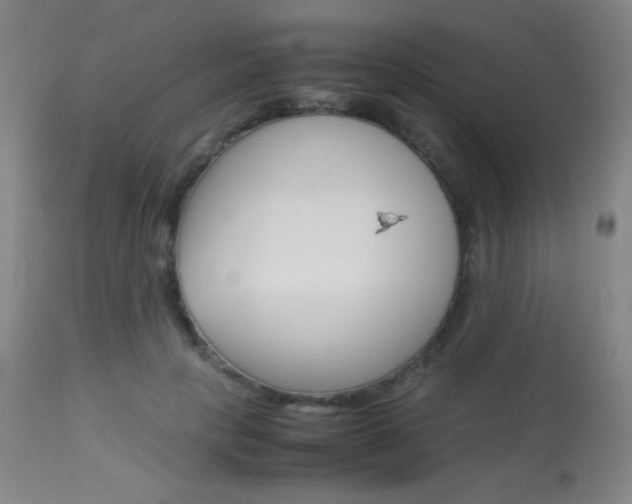 X0000113910649200909241307
