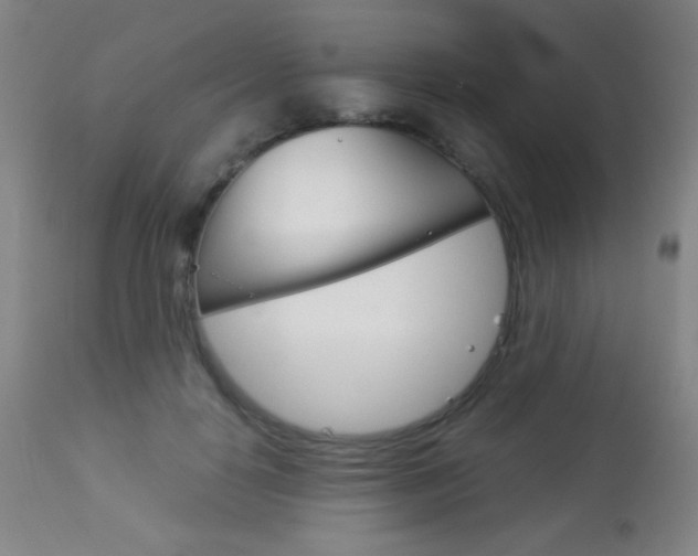 X0000113910650200909241307