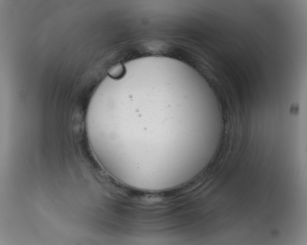 X0000113910651200909241307