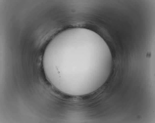 X0000113910652200909241307