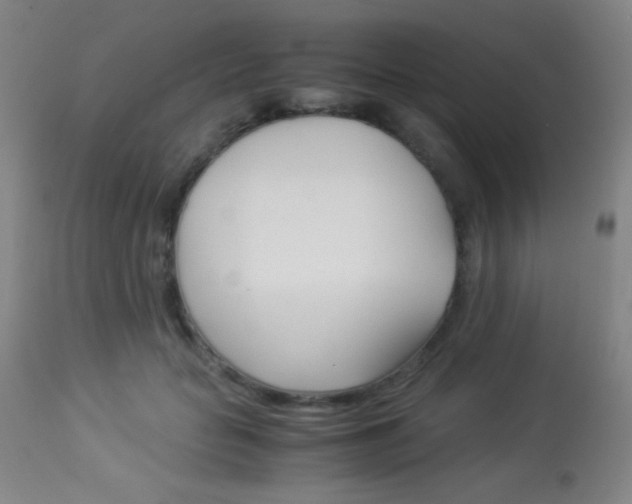 X0000113910653200909241307