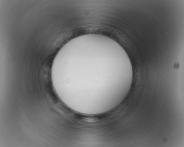 X0000113910654200909241307