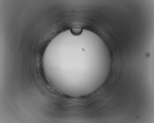 X0000113910655200909241307