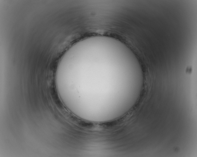 X0000113910656200909241307