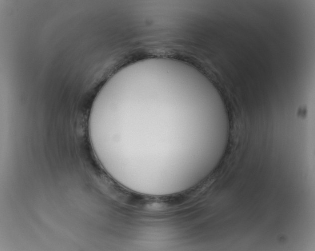 X0000113910658200909241307
