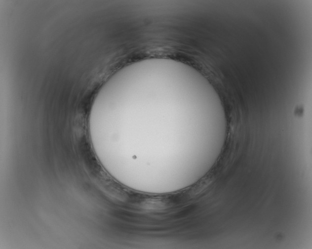 X0000113910659200909241307