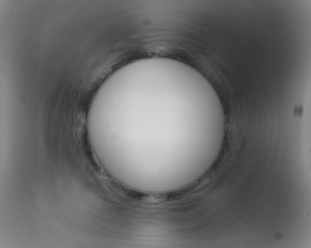 X0000113910660200909241307
