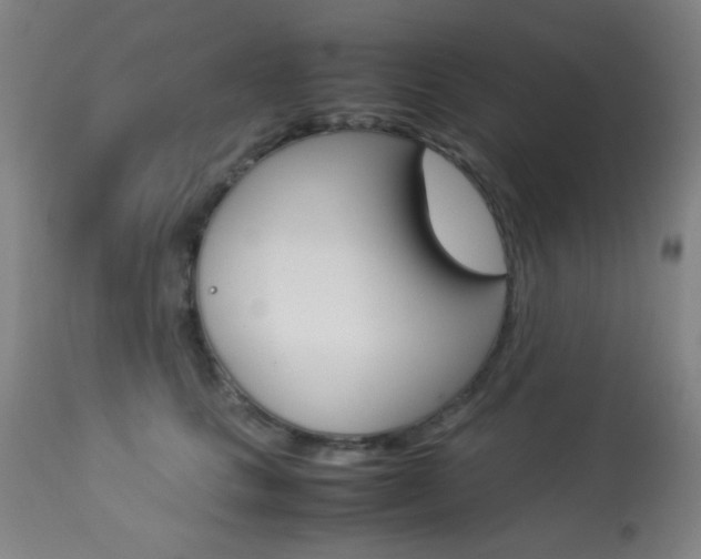 X0000113910661200909241307
