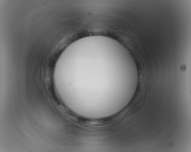 X0000113910662200909241307
