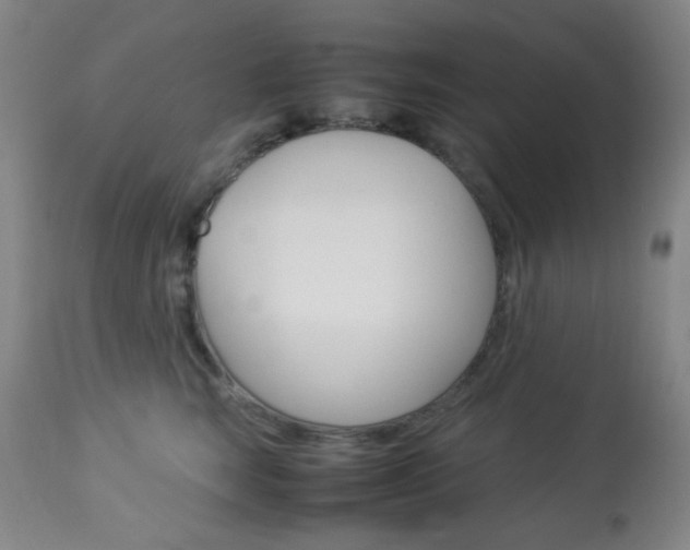 X0000113910663200909241307