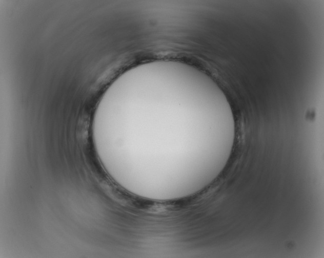 X0000113910664200909241307