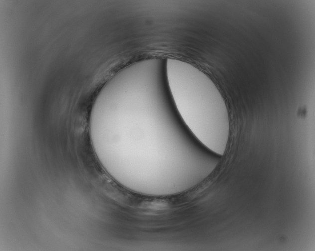 X0000113910665200909241307