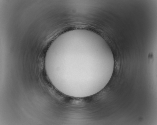 X0000113910666200909241307