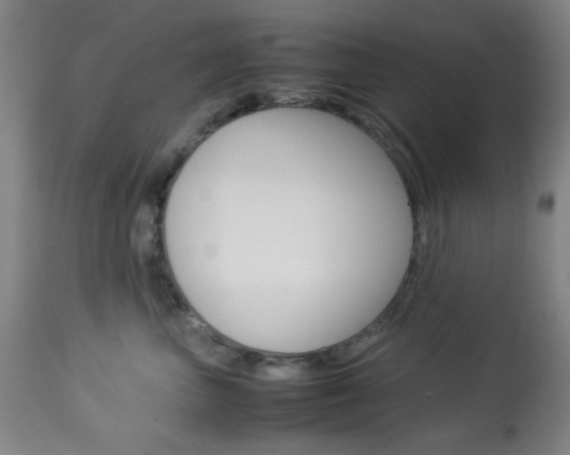 X0000113910667200909241307