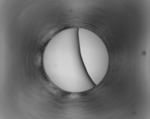 X0000113910668200909241307