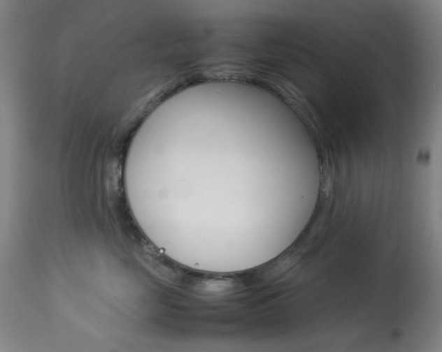 X0000113910669200909241307