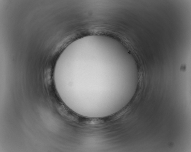 X0000113910670200909241307