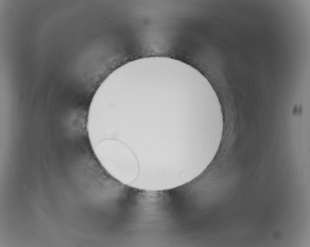 X0000113910672200909241307