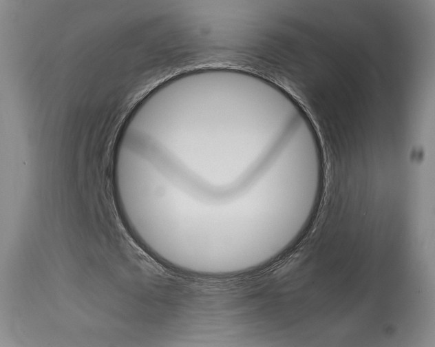 X0000113910673200909241306