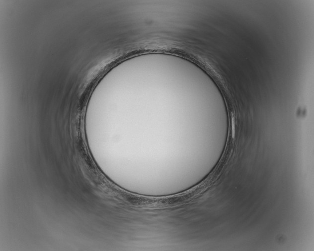 X0000113910675200909241306