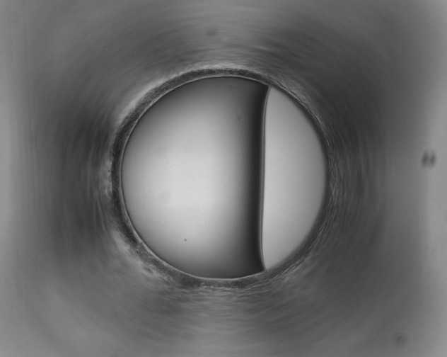 X0000113910676200909241306