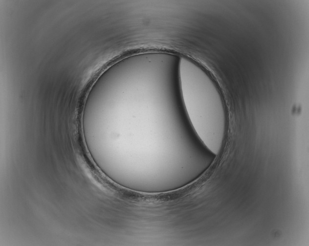 X0000113910677200909241306