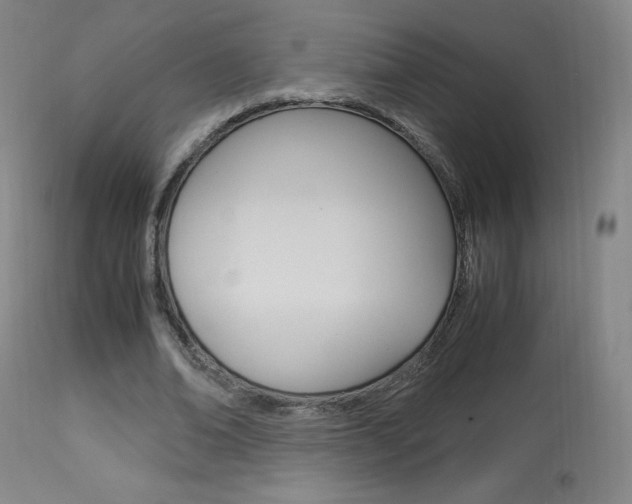 X0000113910678200909241306