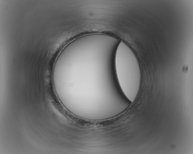 X0000113910683200909241306