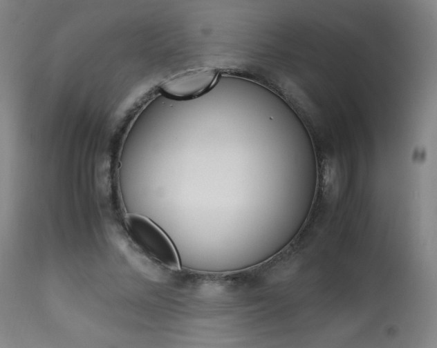 X0000113910684200909241306