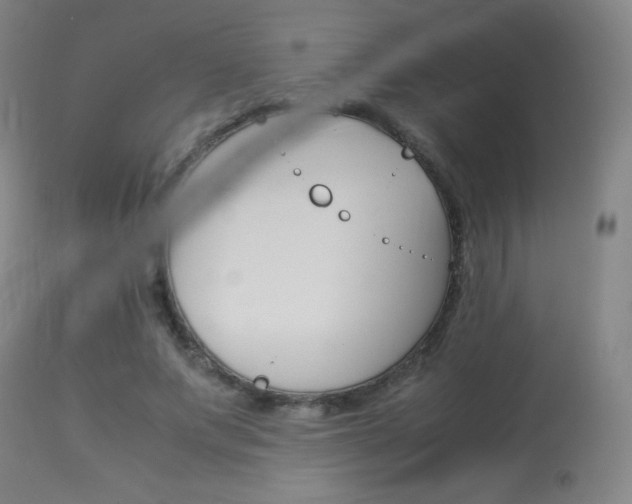 X0000113910687200909241306