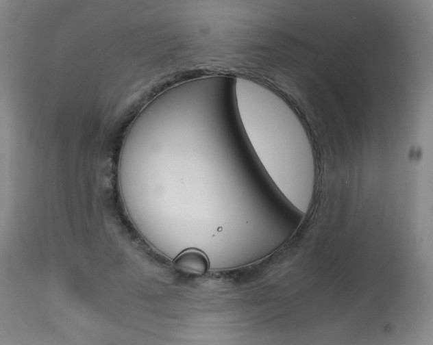 X0000113910689200909241306