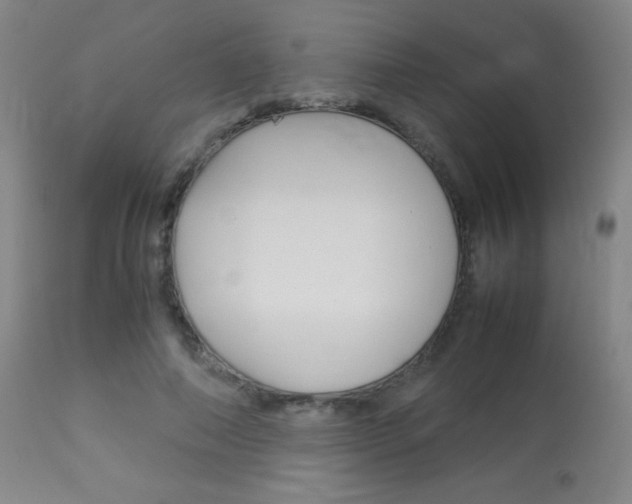 X0000113910690200909241306
