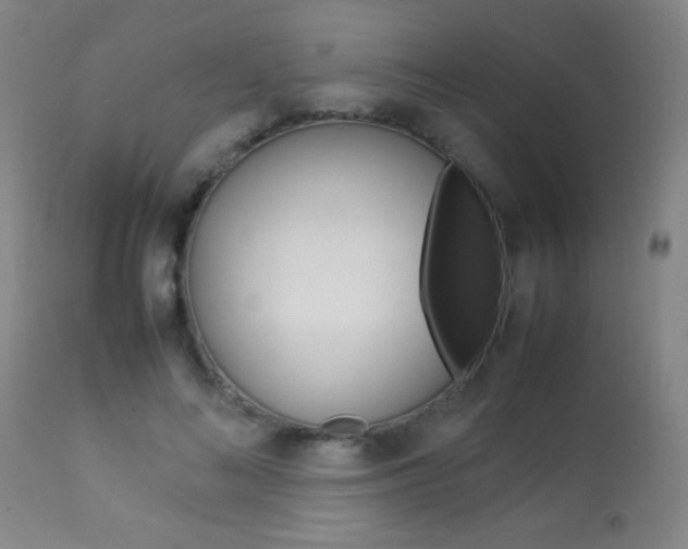 X0000113910692200909241306