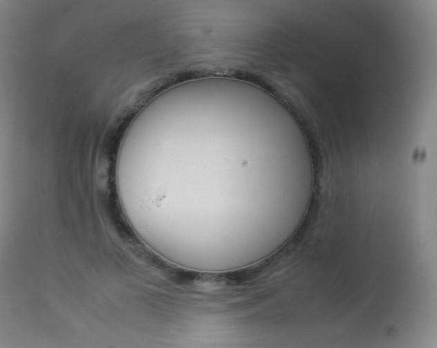 X0000113910693200909241306