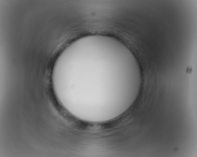 X0000113910695200909241306