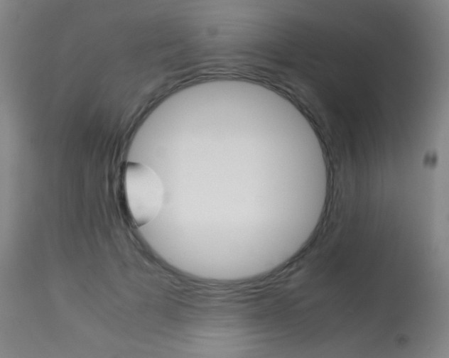 X0000113910697200909241306