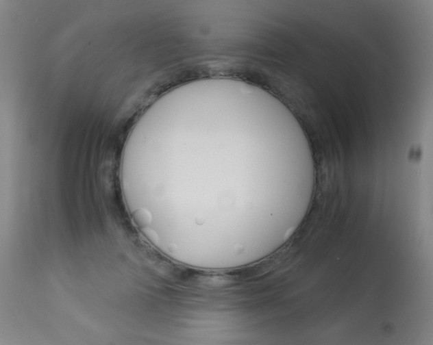X0000113910698200909241306