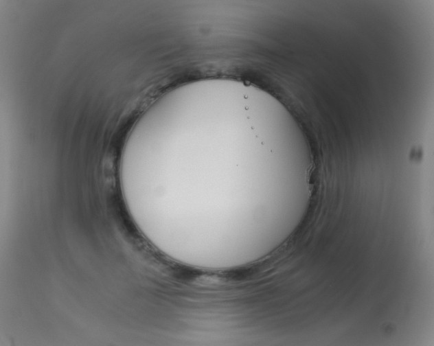 X0000113910699200909241306