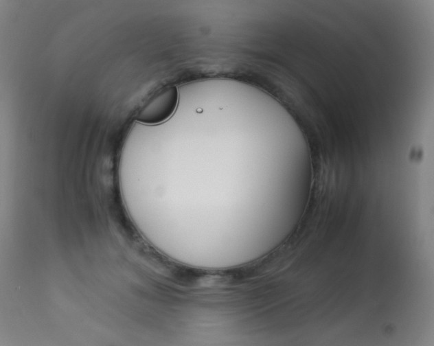 X0000113910700200909241306