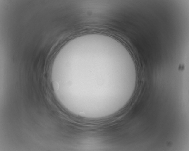 X0000113910701200909241306