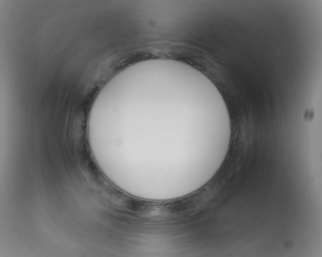 X0000113910702200909241306